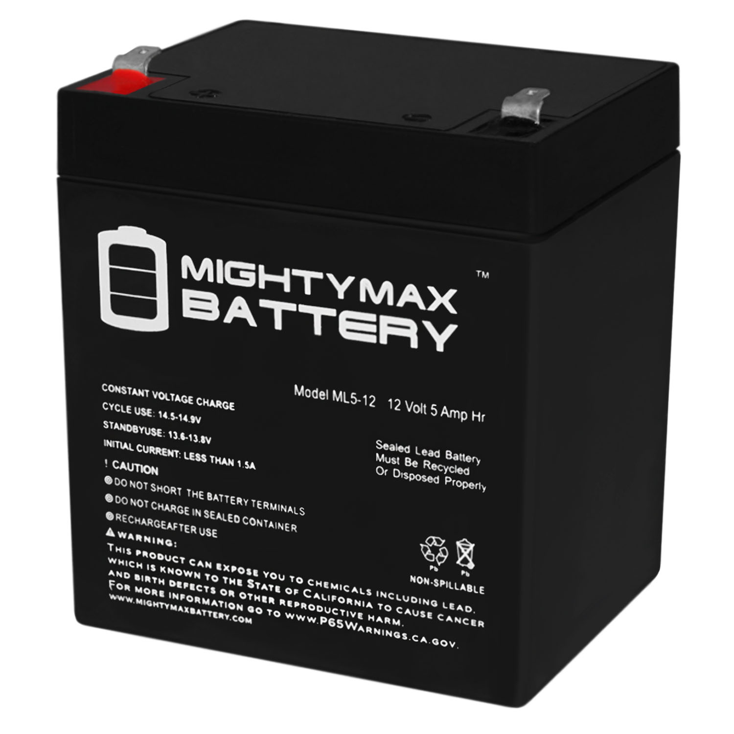 Mighty Max 38 Alarm & Home Security Systems ML1.2-12 12V Battery